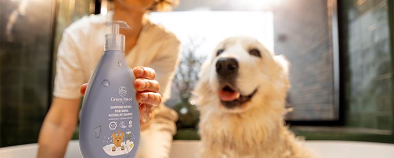 Prendre soin de vos animaux naturellement avec le shampooing naturel de Green Mood Organics